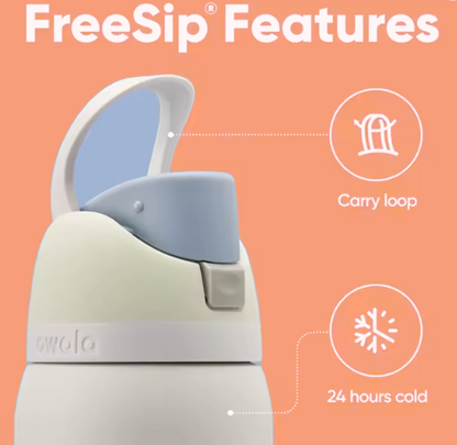 OWALA Stainless Steel Leak-Proof Bottle